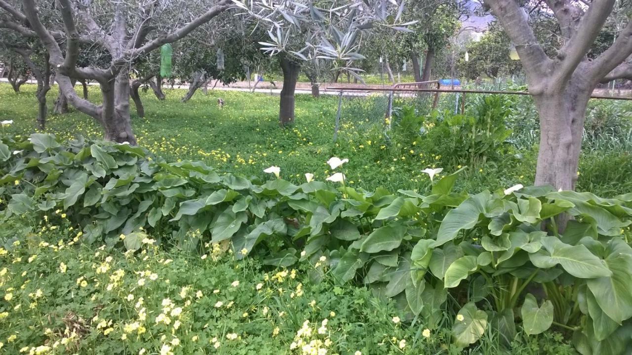 Гостевой дом El Cortijo De La Abuela Benahadux Экстерьер фото