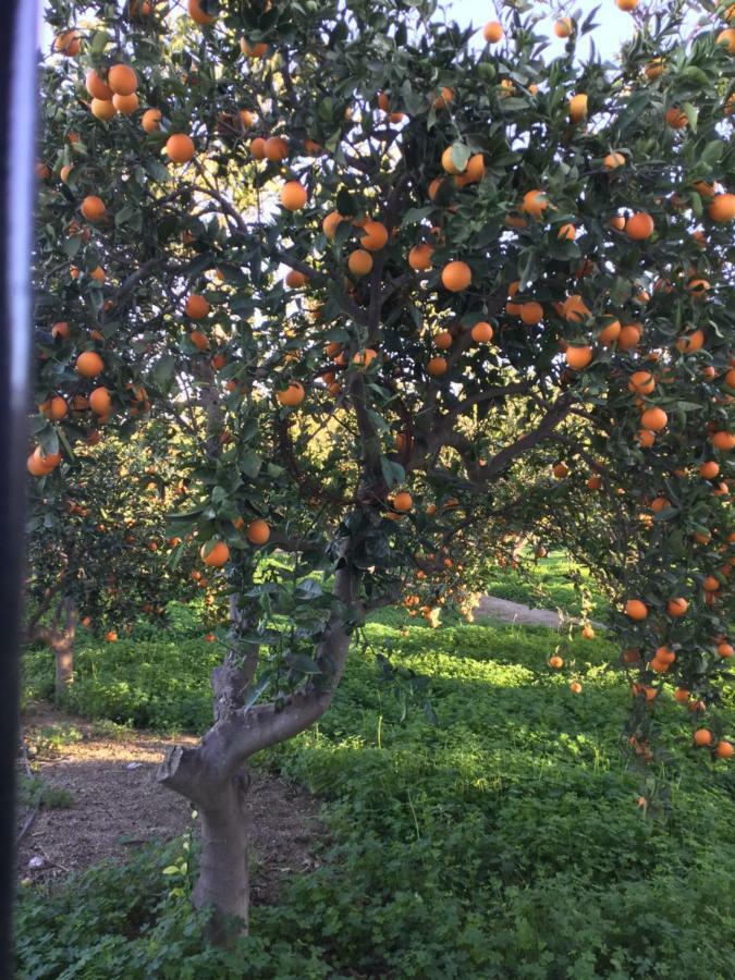 Гостевой дом El Cortijo De La Abuela Benahadux Экстерьер фото