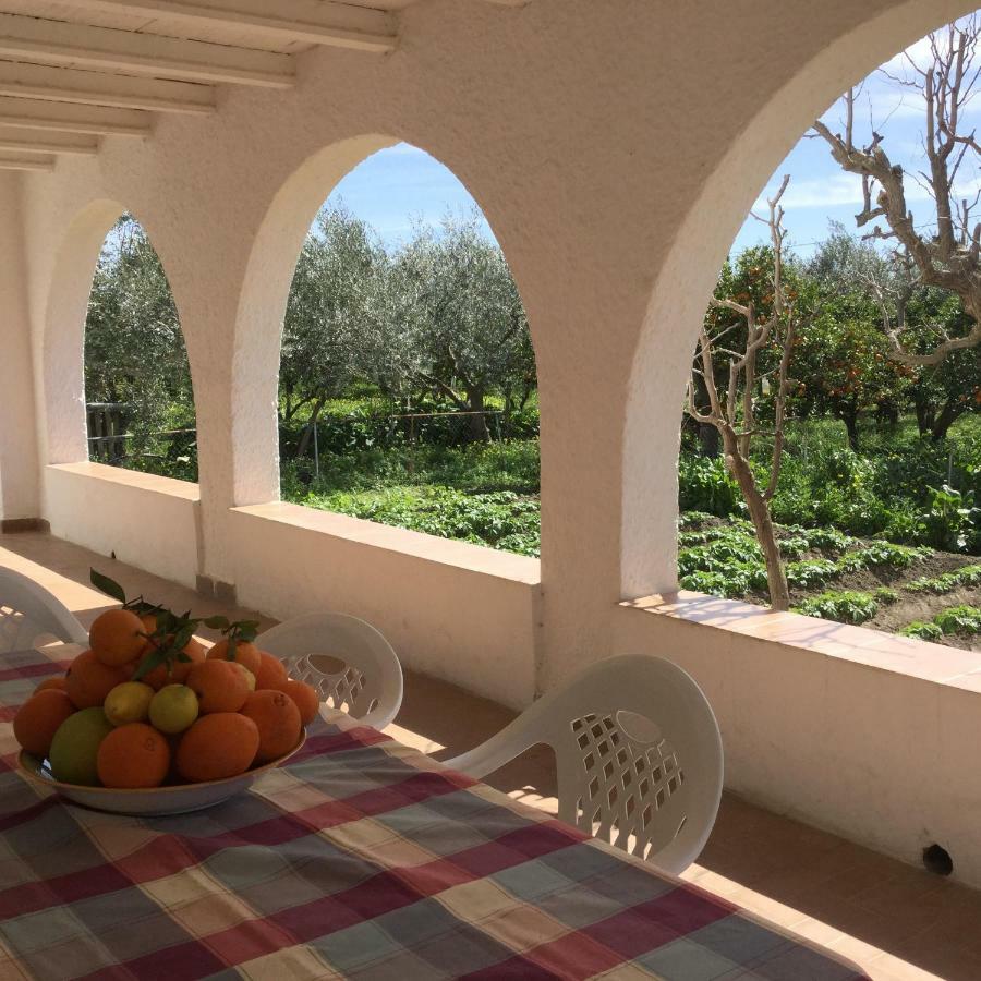 Гостевой дом El Cortijo De La Abuela Benahadux Экстерьер фото